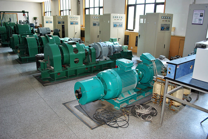 国营南海农场某热电厂使用我厂的YKK高压电机提供动力